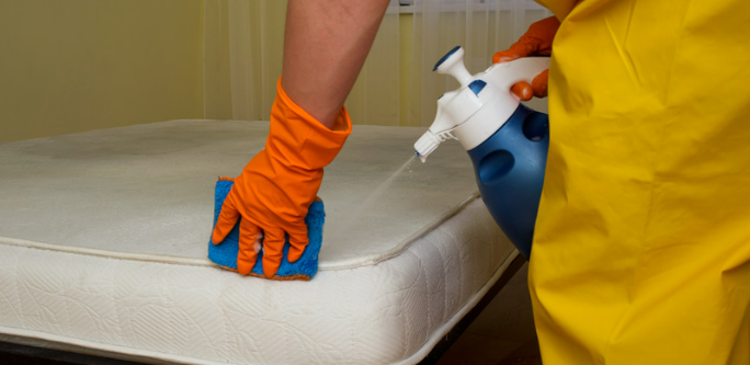 The benefits of organic dry cleaning: Why it's better for you and the environment.